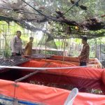 IMG-20260625-WA0018